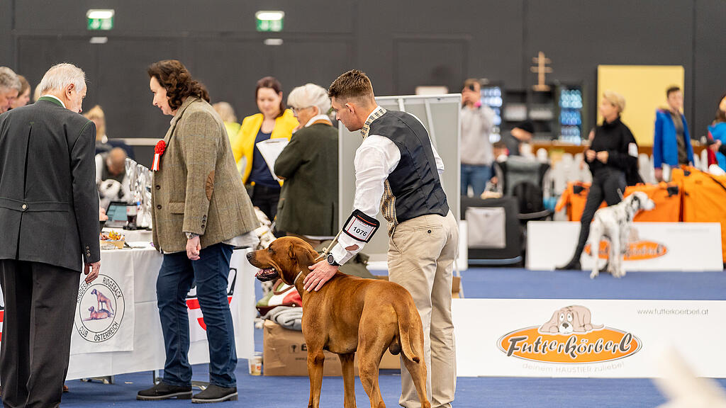 Internationale Hundeausstellung Salzburg 2022