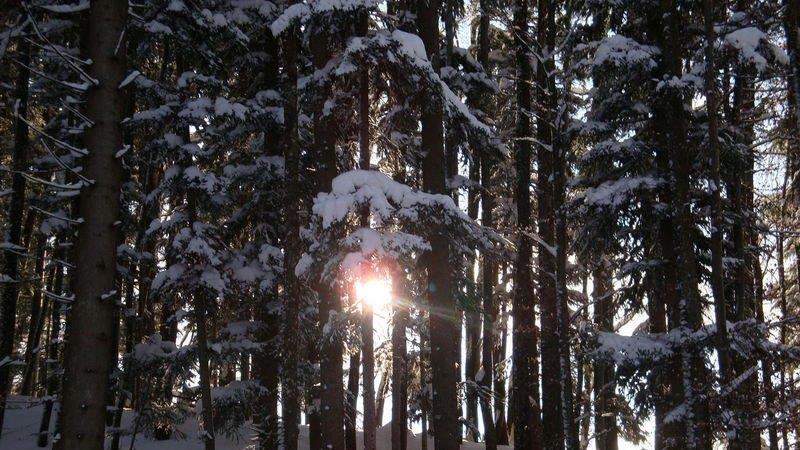 Winteridylle in Ebenau