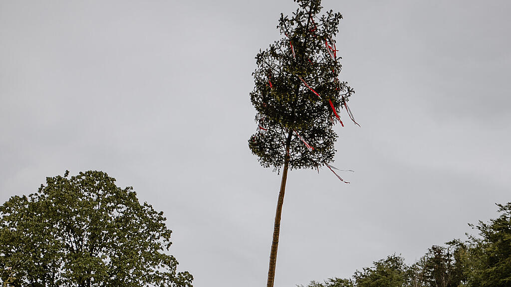 Eglseer Maibaumsetzen