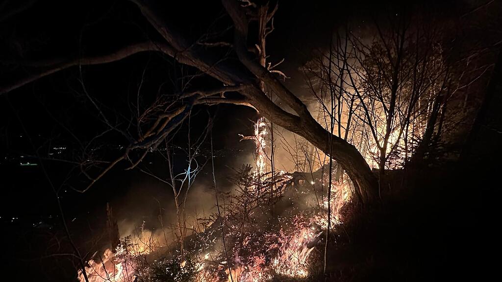 Waldbrand Hohenems
