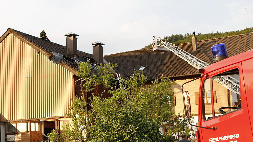 20200519_fmt_brandmattsee_PM04.JPG