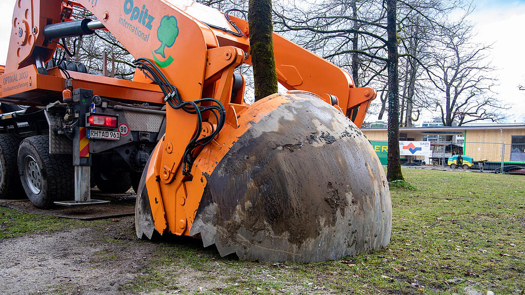 Baumverpflanzung im Volksgarten