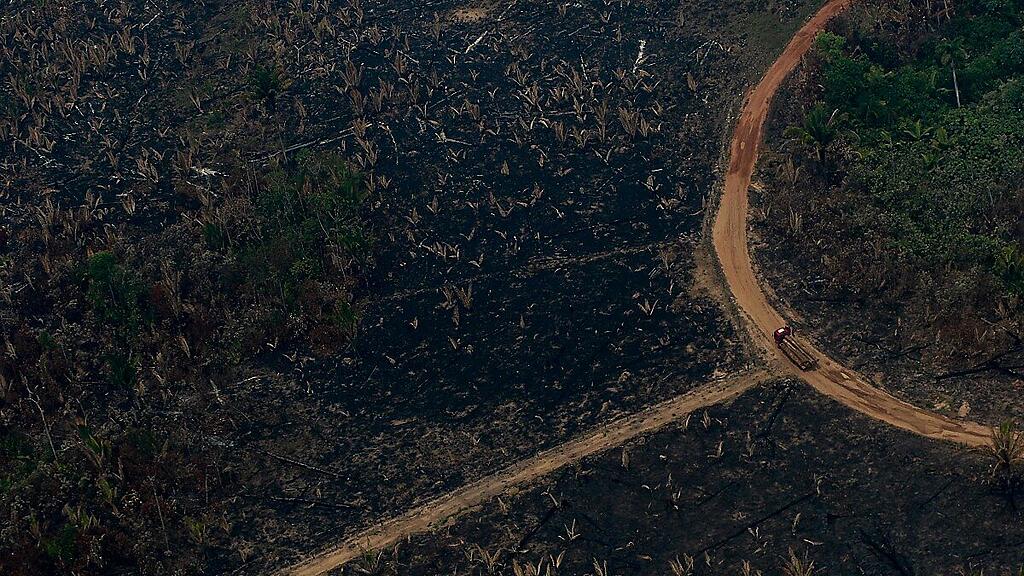Die Zerstörungen durch Brandrodung sind enorm