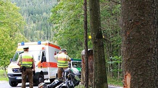 Biker prallt in Baum