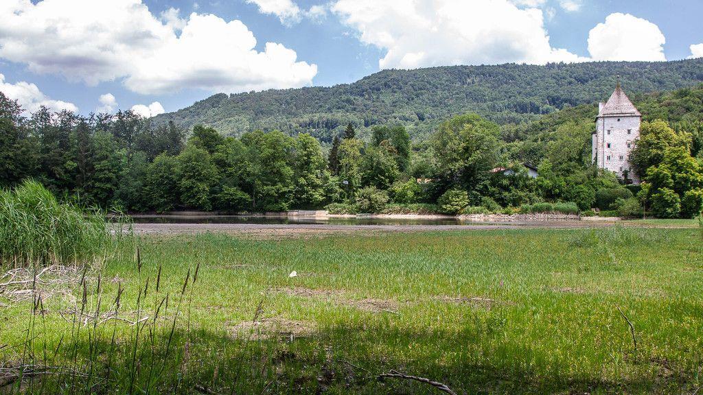 Verlandeter Weiher in St. Jakob am Thurn
