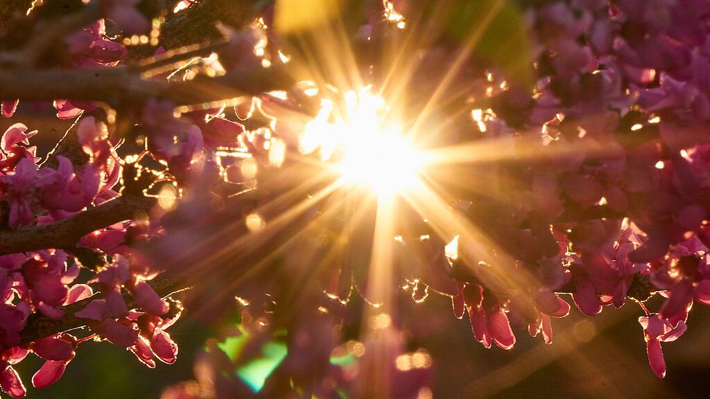 symb_wetter symb_frühling symb_sonne