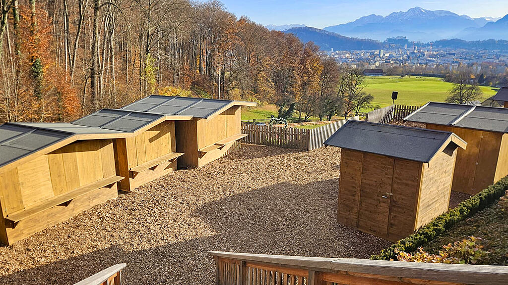 Aufbau des Plainer Christkindlmarkts in Bergheim