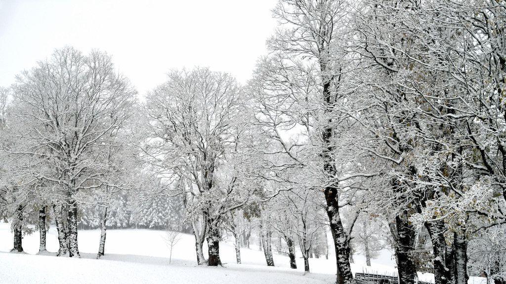 Schneebilder aus Krispl