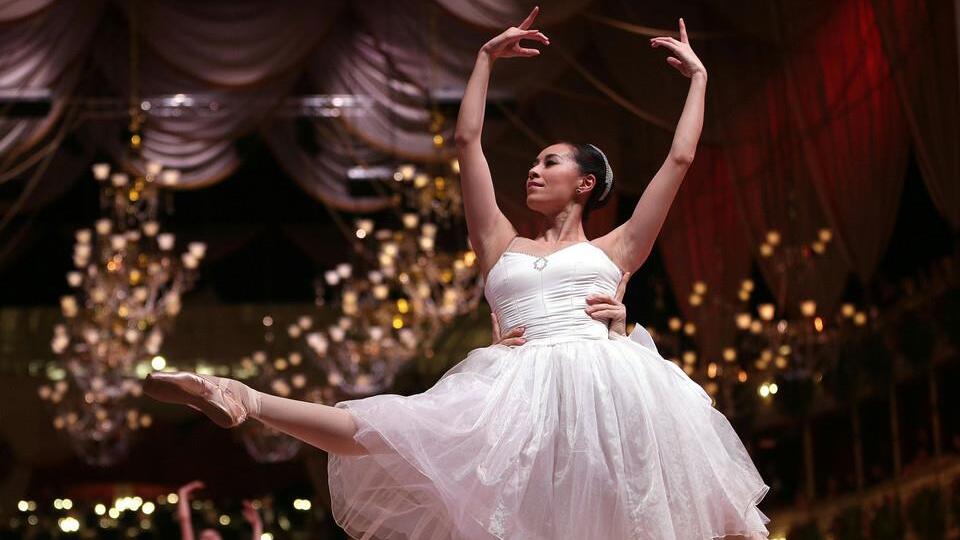 Opernball 2015: Eröffnung