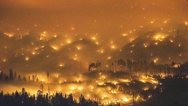 Waldbrand am Eingang des Parks