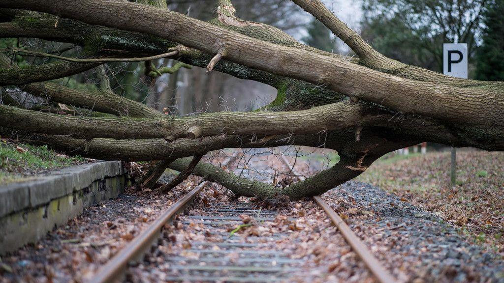 Sturmtief "Friederike" in Europa