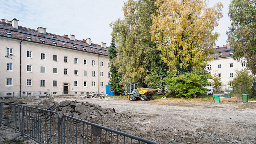 20251020-DSC02272