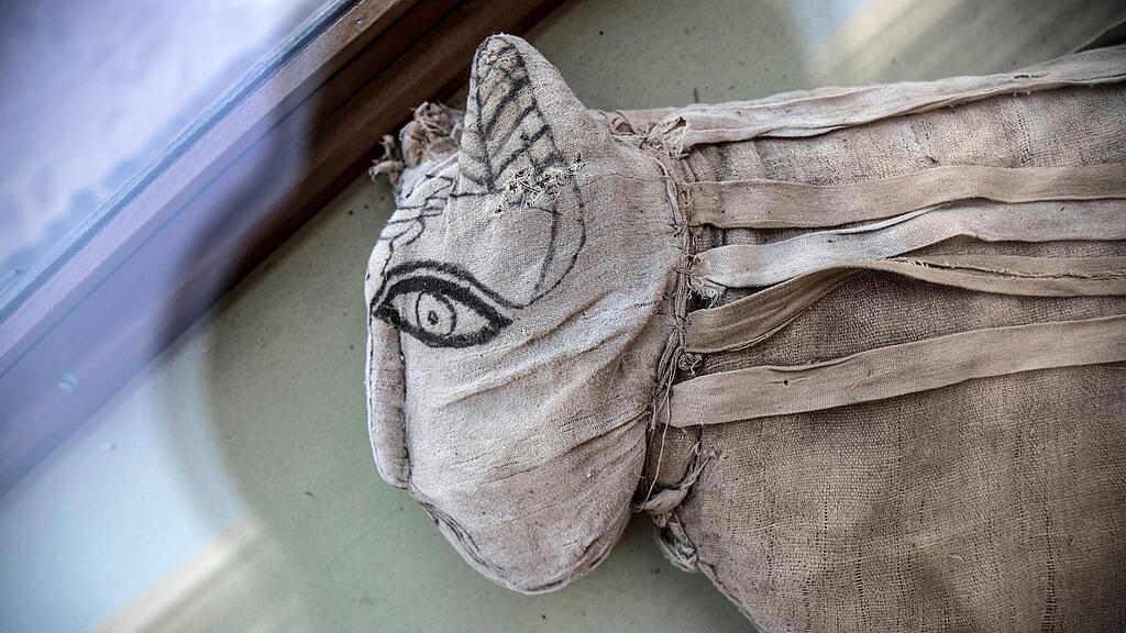 Mumifizierte Löwenbabys in Ägypten