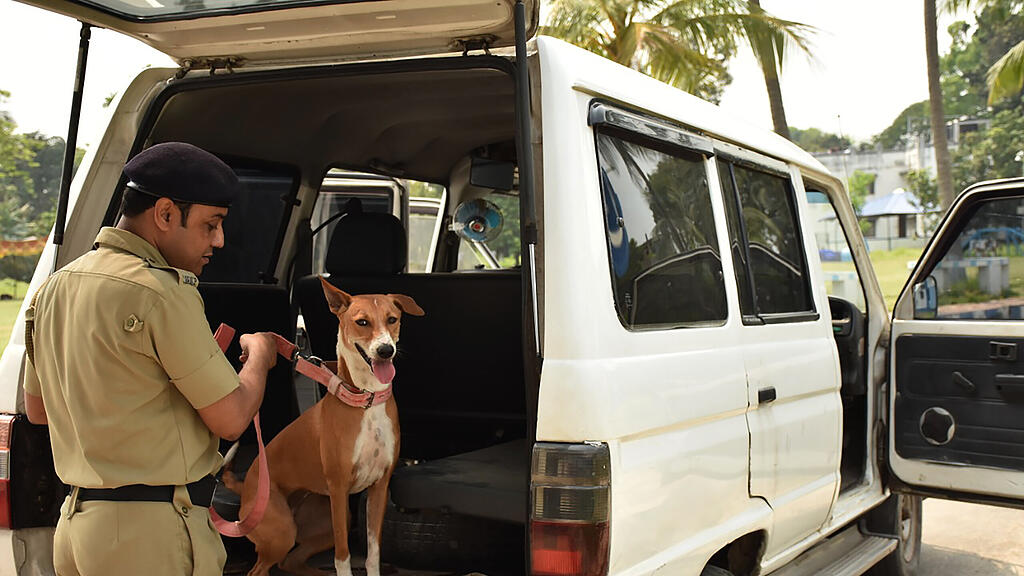Hund, Indien