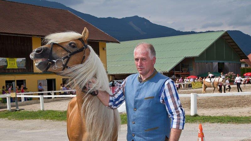 10. Haflinger Landesfohlenschau