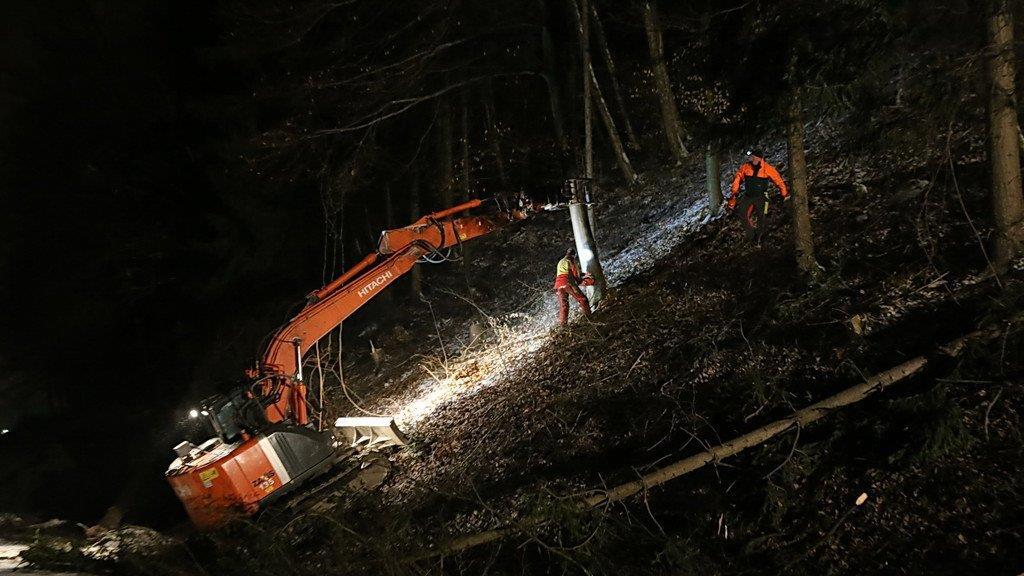 Rodungsarbeiten an der A1