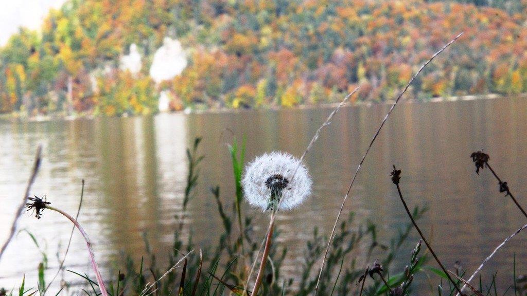 Goldener Herbst am Wolfgangsee