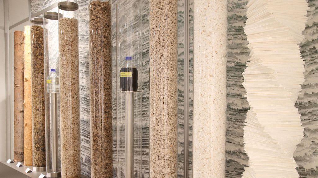 Schweighofer Fiber in Hallein
