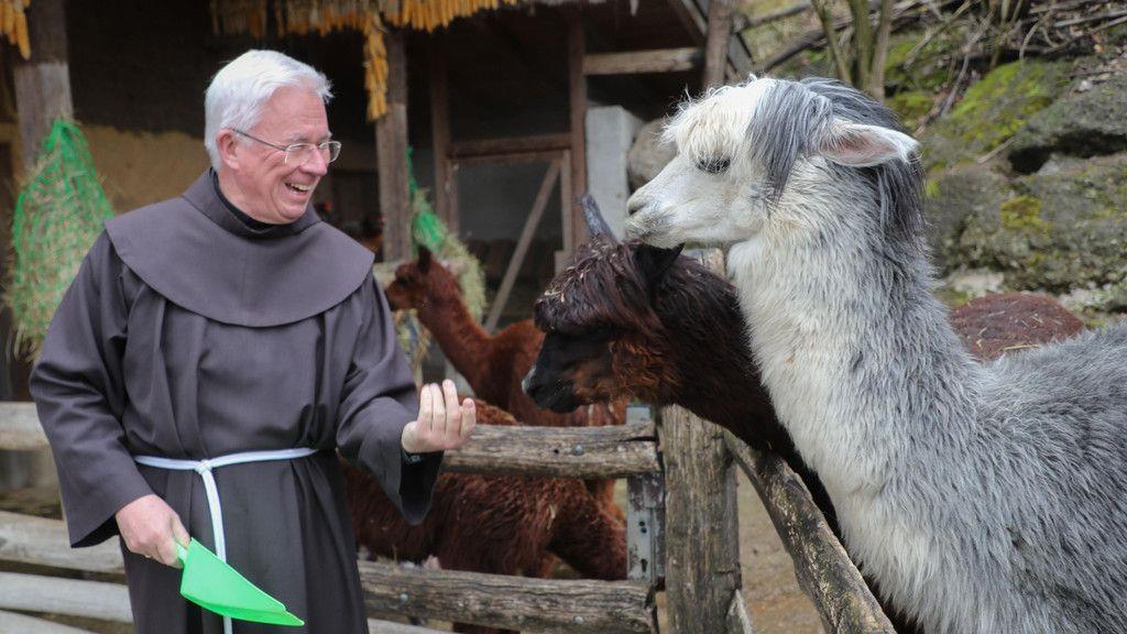 Zoo Salzburg: Erzbischof Lackner besucht Alpakas