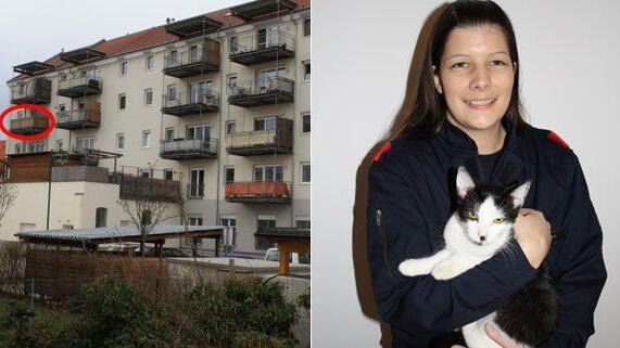 Gerade noch rechtzeitig konnte die Katze aus dem Fluss gerettet werden.