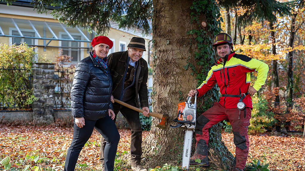Christbaumernte in St. Jakob am Thurn