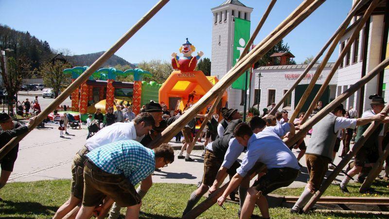 Maibaumaufstellen in Hof