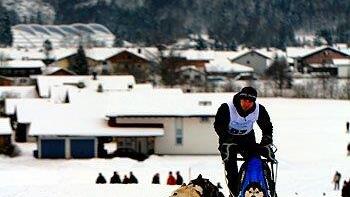 Hundeschlittenrennen in Inzell