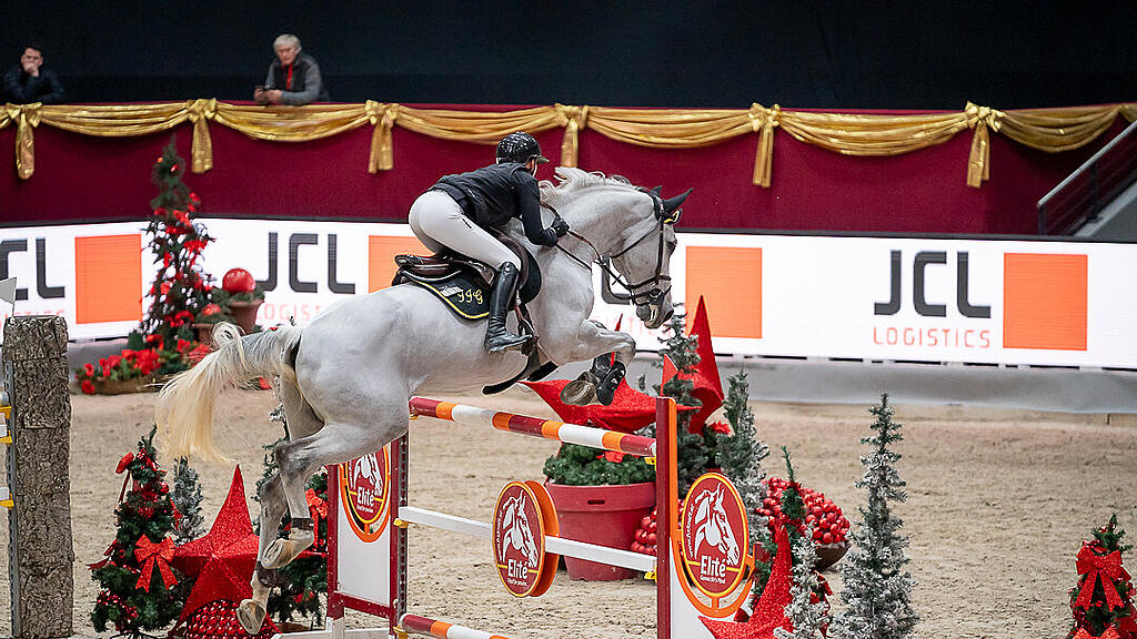 Amadeus Horse Indoors 2023