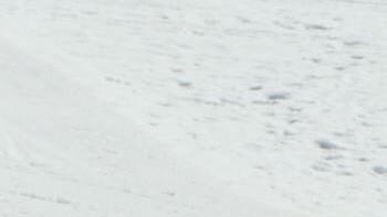 Snowbike-Rekordversuch in Obertauern