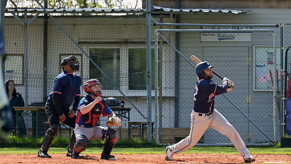 Braves Hallein, Baseball