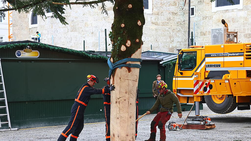 Baum am Christkindlmarkt eingetroffen II