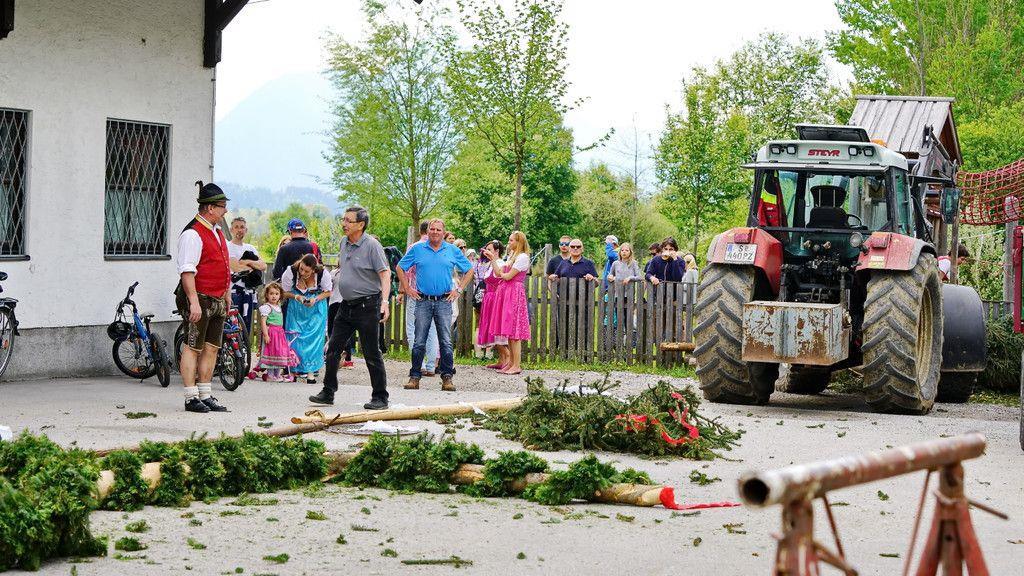 Maibaumaufstellen in Leopoldskron