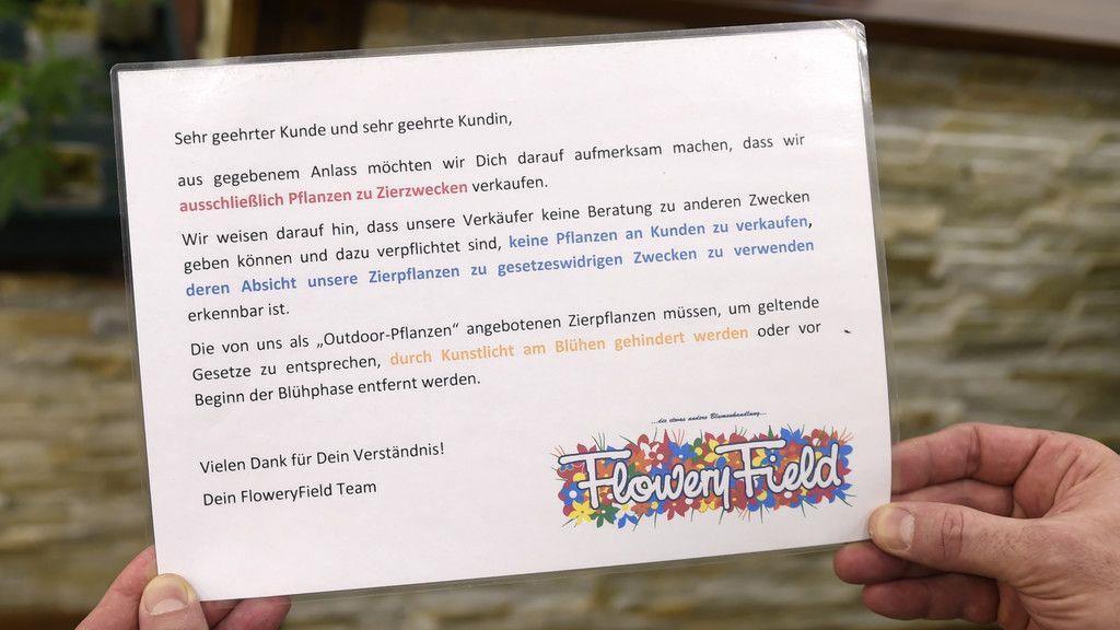 Cannabisaufzucht in Brunn am Gebrige