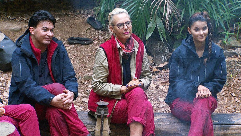 Heiratsantrag im Dschungelcamp und Gsell-Rausschmiss