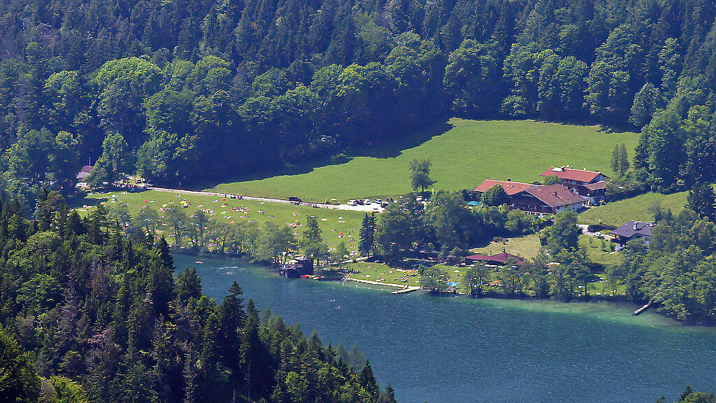 thumsee