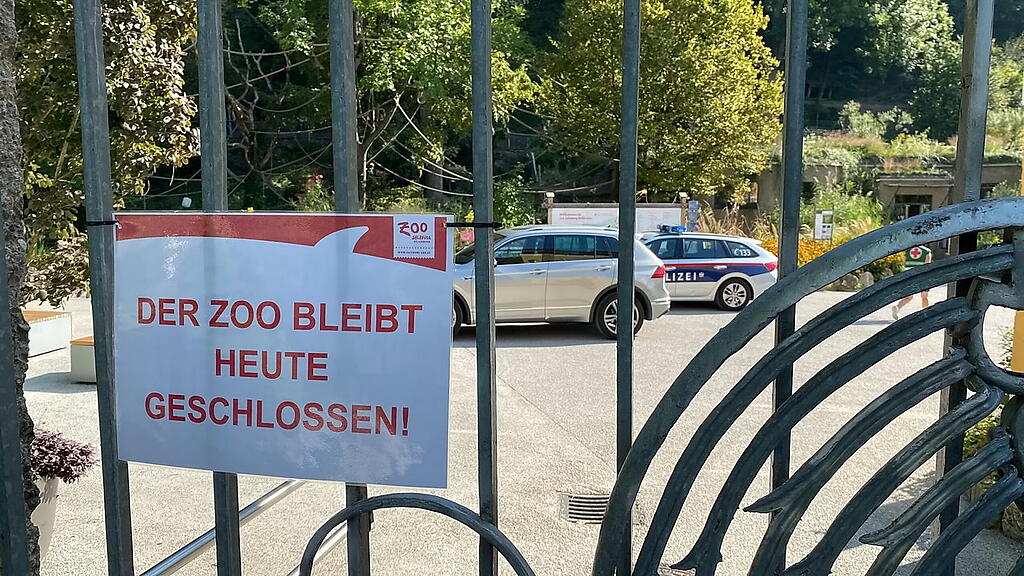 Zoo Salzburg, T\u00f6dlicher Arbeitsunfall, II