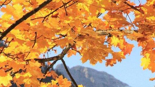 Goldener Herbst in Bayern