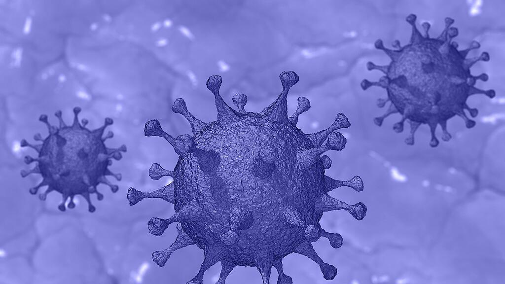 Corona Virus Symb