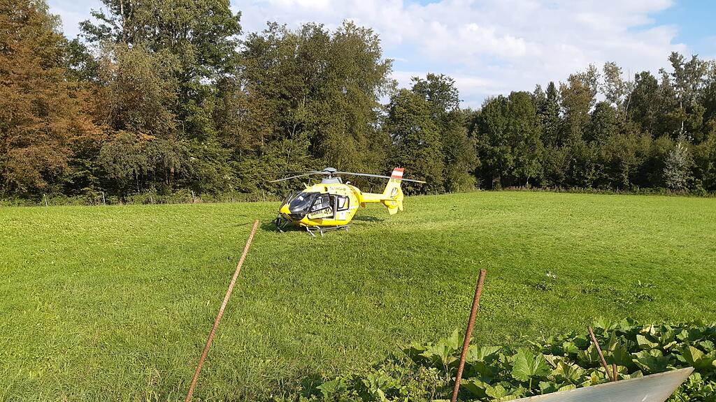 Crash Traktor Lokalbahn Bergheim
