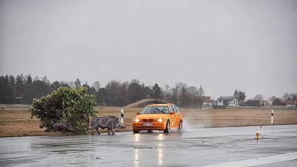 ÖAMTC, Wildunfälle, Crashtest