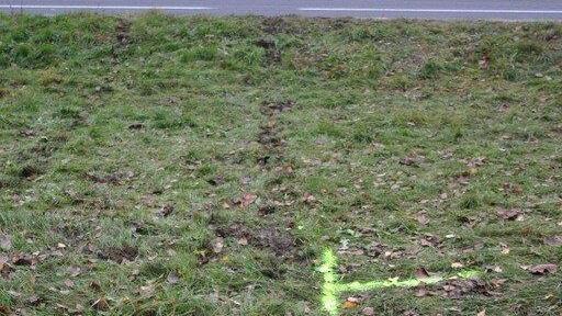 Mehr Pics der Unfallstelle