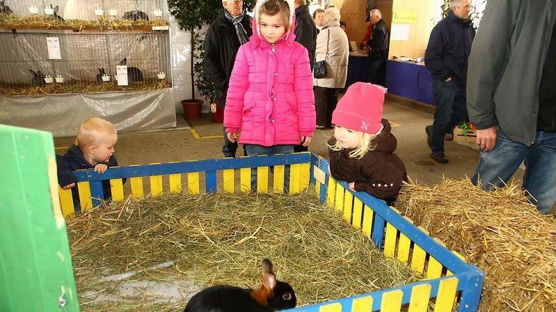 Bilder der Ausstellung