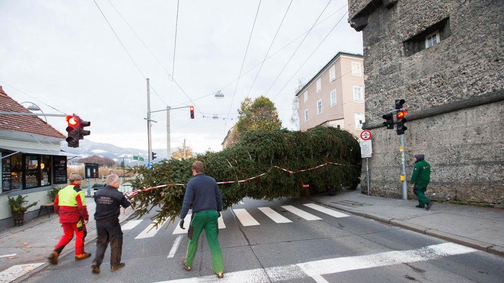Salzburger Christbaum steht
