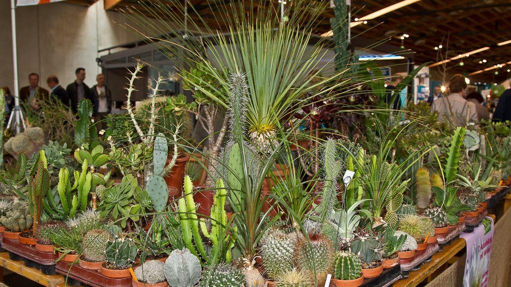 Gartenmesse