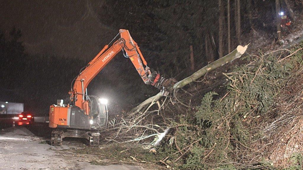 Rodungsarbeiten an der A1