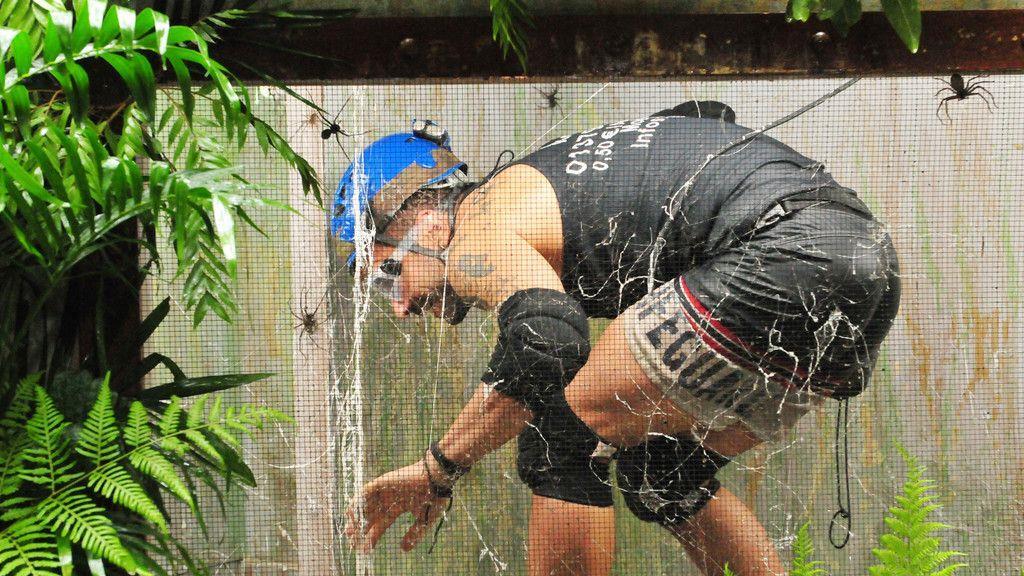 Tag 15 im Dschungelcamp