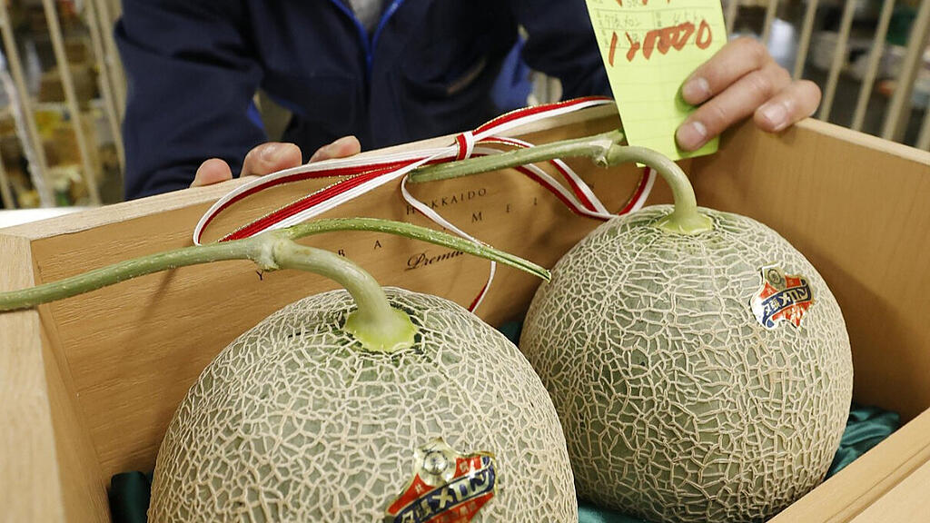 Yubari-Melonen