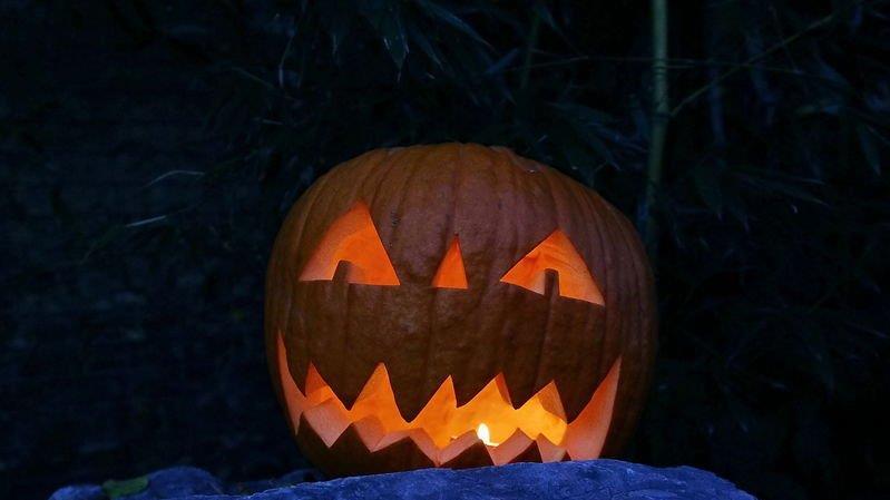 Halloween im Zoo