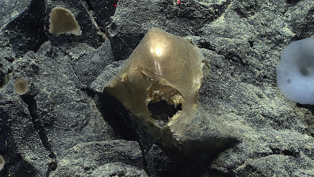 Meldungsliste(2)_0.jpg