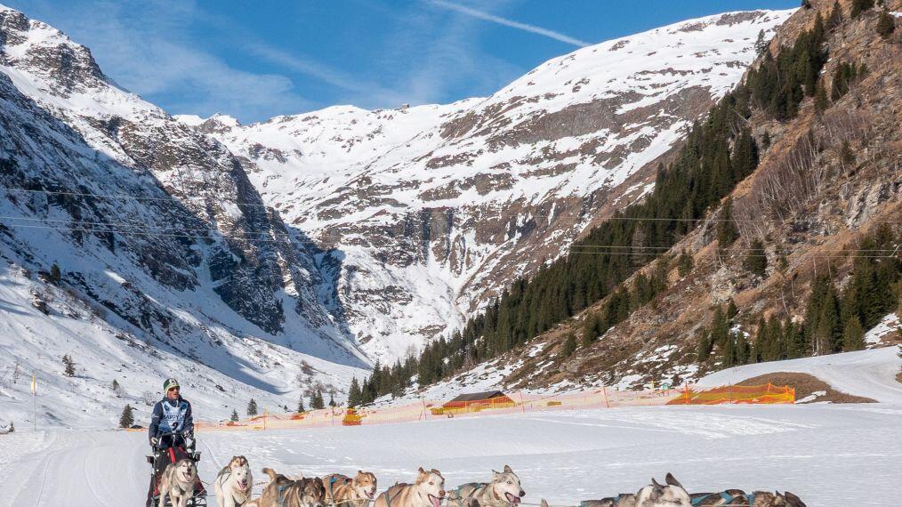 Schlittenhunderennen in Sportgastein